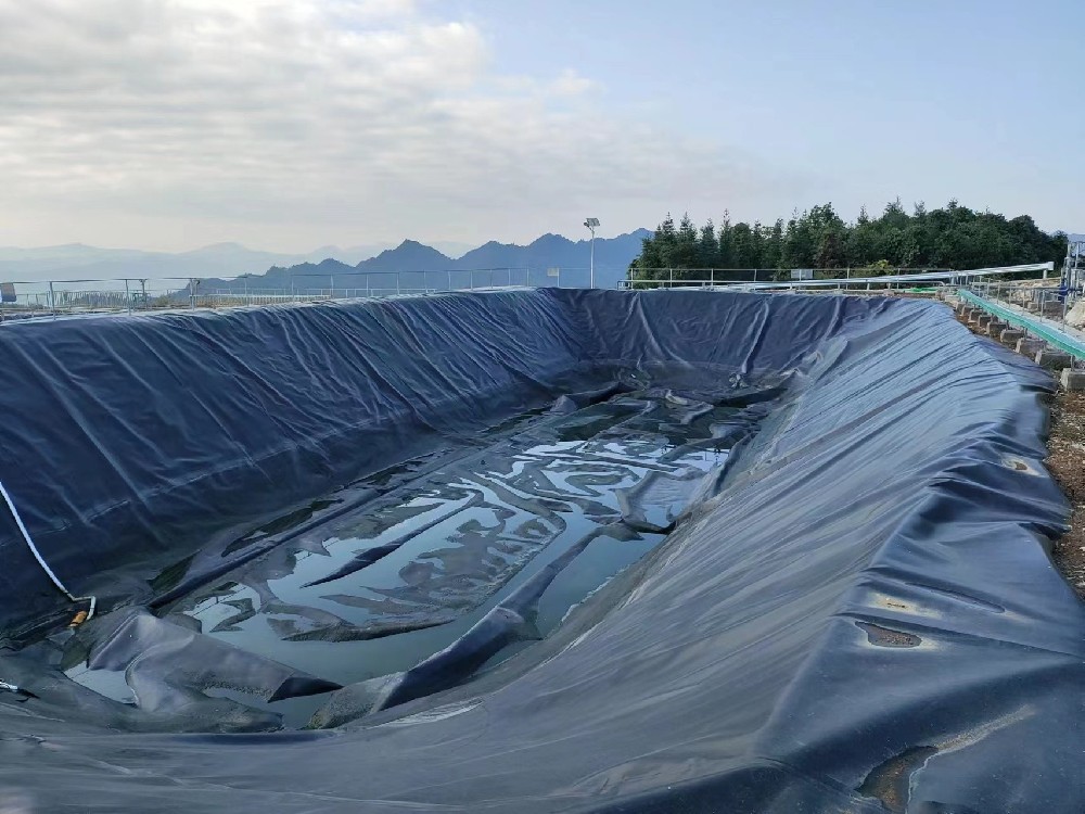 Anti-seepage black film