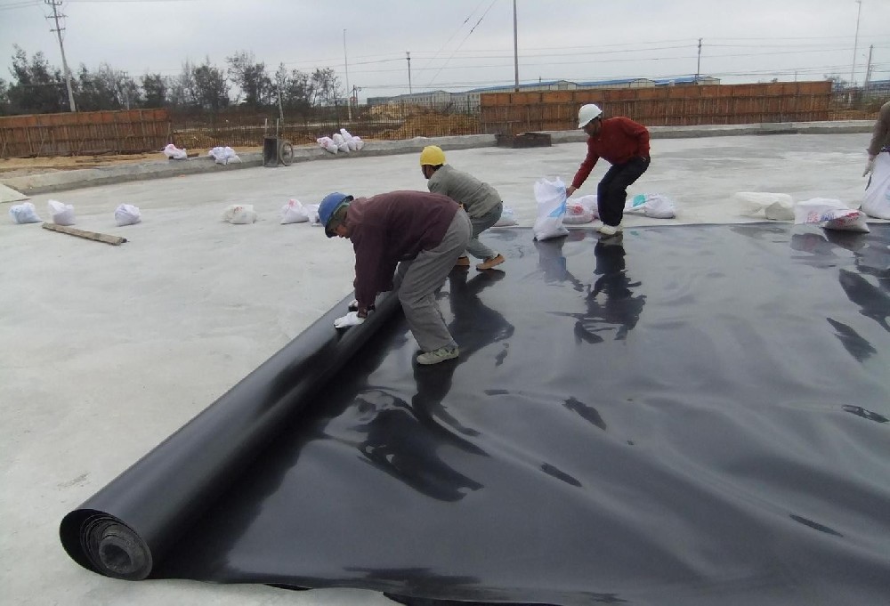 Geomembrane for seepage prevention