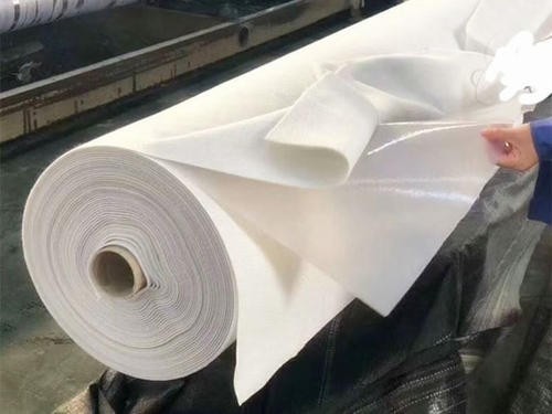 Composite Geomembrane (One Fabric, One Membrane)