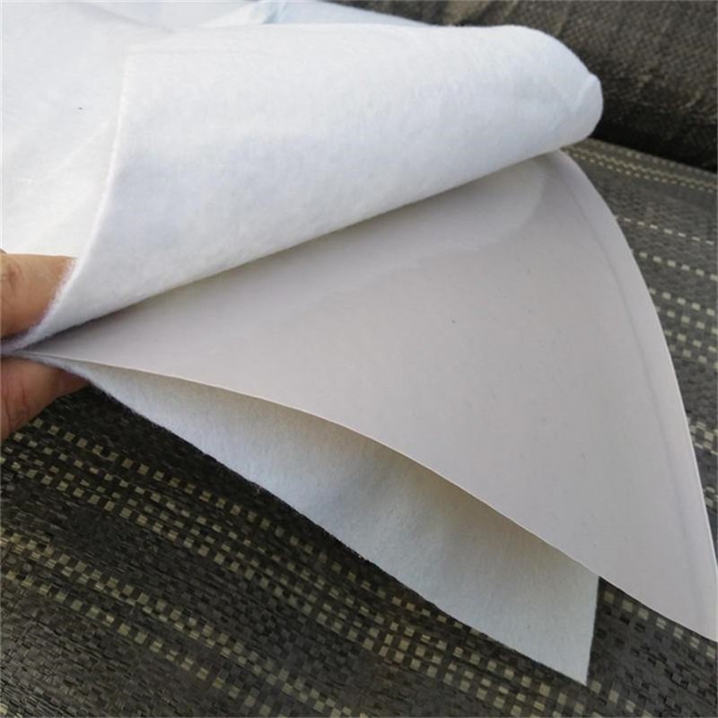 Composite Geomembrane (Two Fabrics and One Membrane)