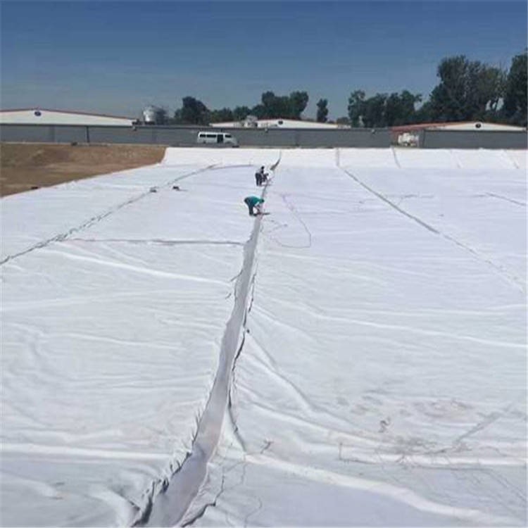Composite Geomembrane (Multiple Fabrics and Membranes)