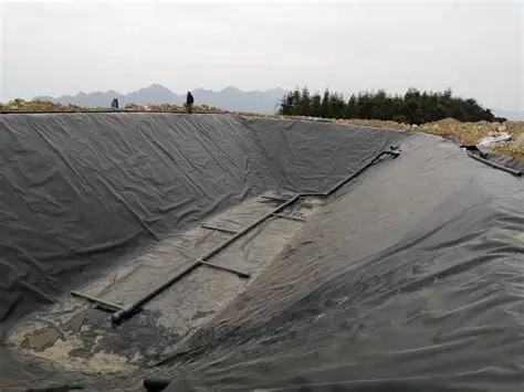 Textured Geomembrane