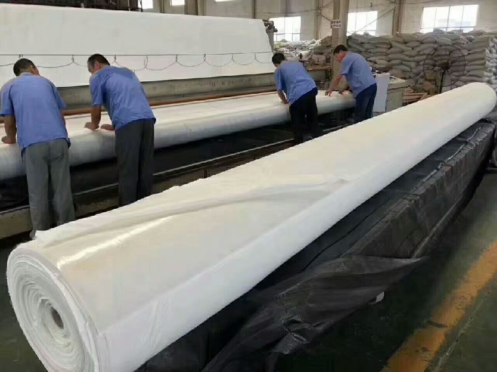 Physical performance indicators of composite geomembranes