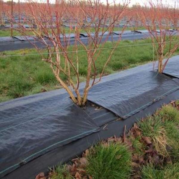 Weed Control Fabric Installation Case