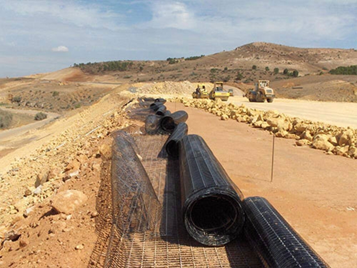Geogrid