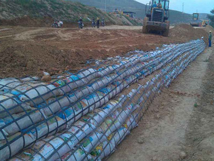 Geogrid
