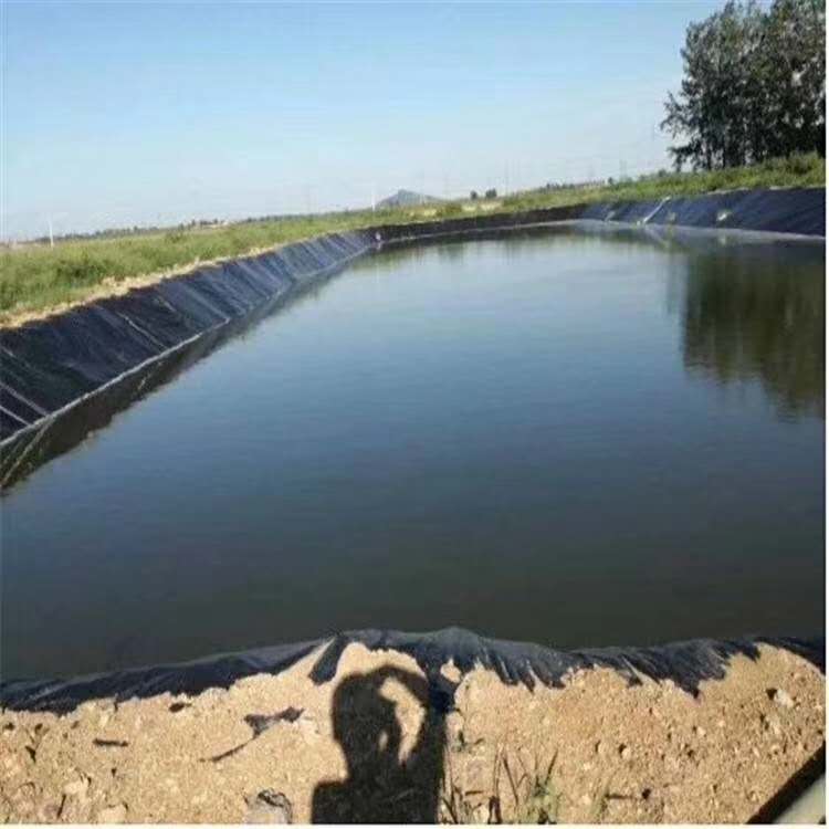 2mm土工防渗膜供货商